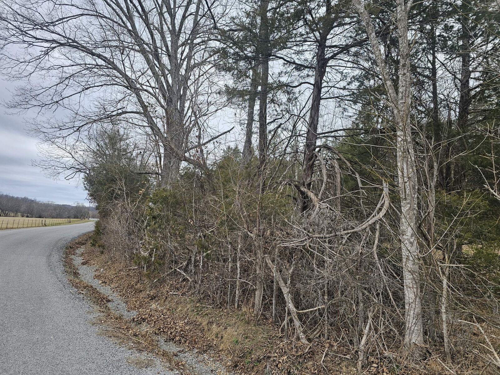 Property Photo: 2 Love Branch Rd Tract 2 TN 38461