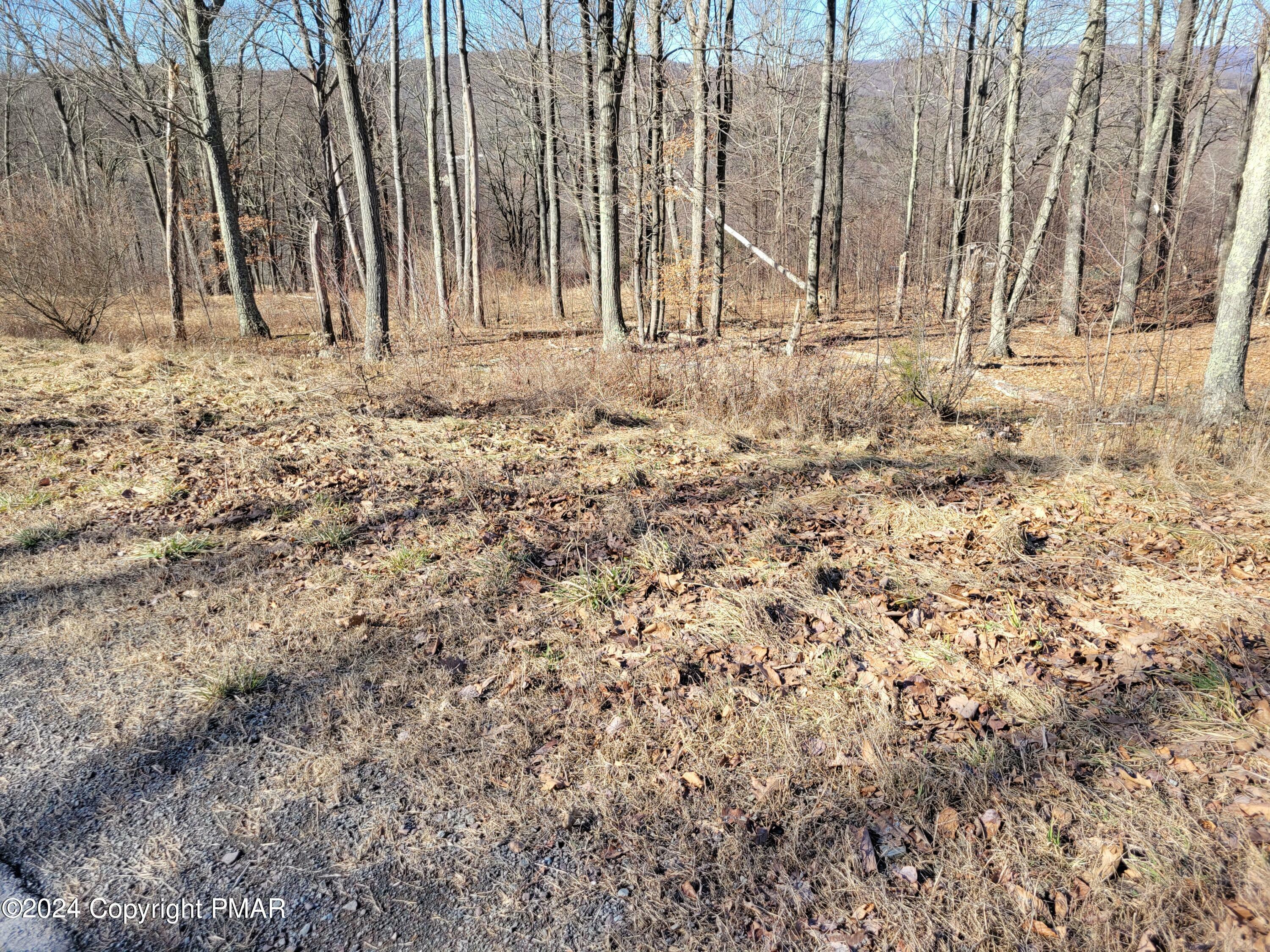 Property Photo:  60 Scenicview  PA 18612 