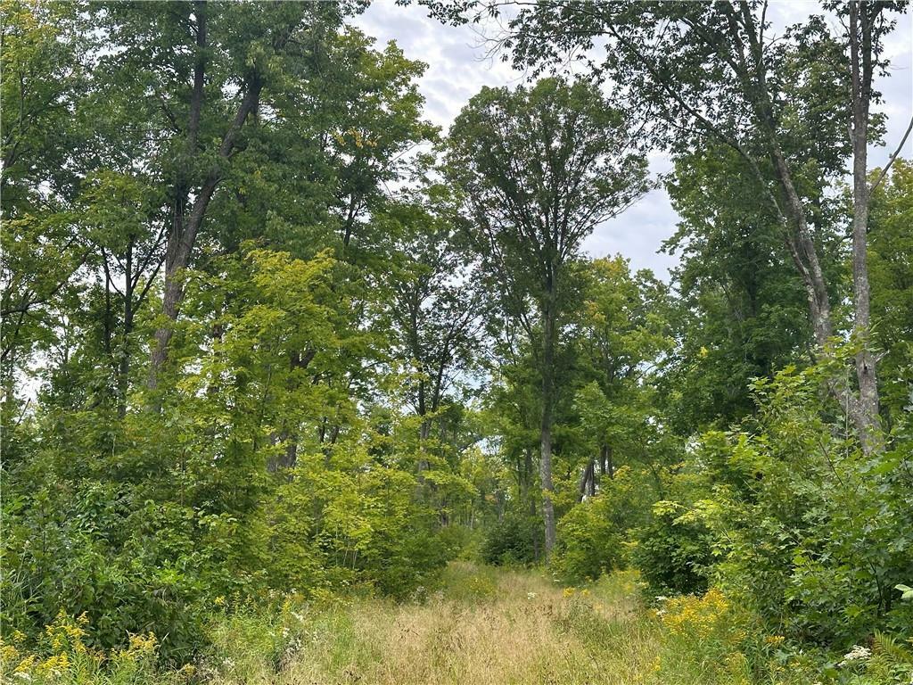 Property Photo:  559.02 Acres Hwy T  WI 54830 