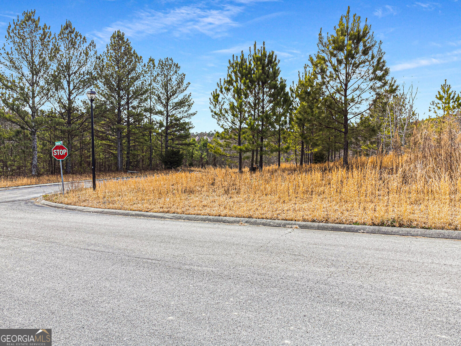 Property Photo: Lot 19 Stonegate Place GA 30710