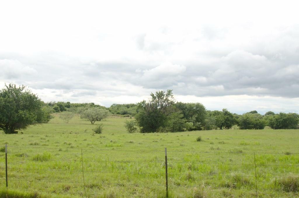 Property Photo:  14.455 Fm 406 Highway  TX 75076 