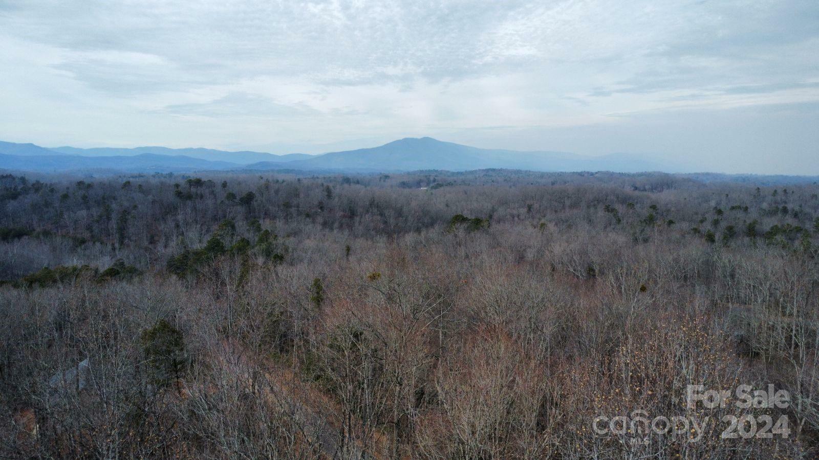 Property Photo:  Lot #73 Black Lark Drive  NC 28752 