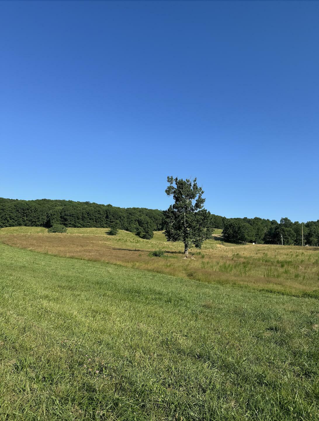 Property Photo: 0 Old Dirt Road TN 37338