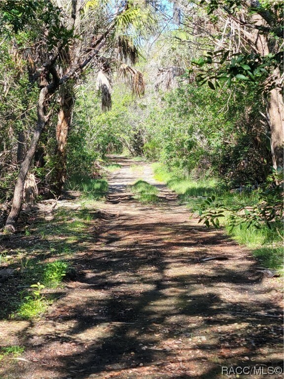 Property Photo:  1311 S Estuary Drive  FL 34429 