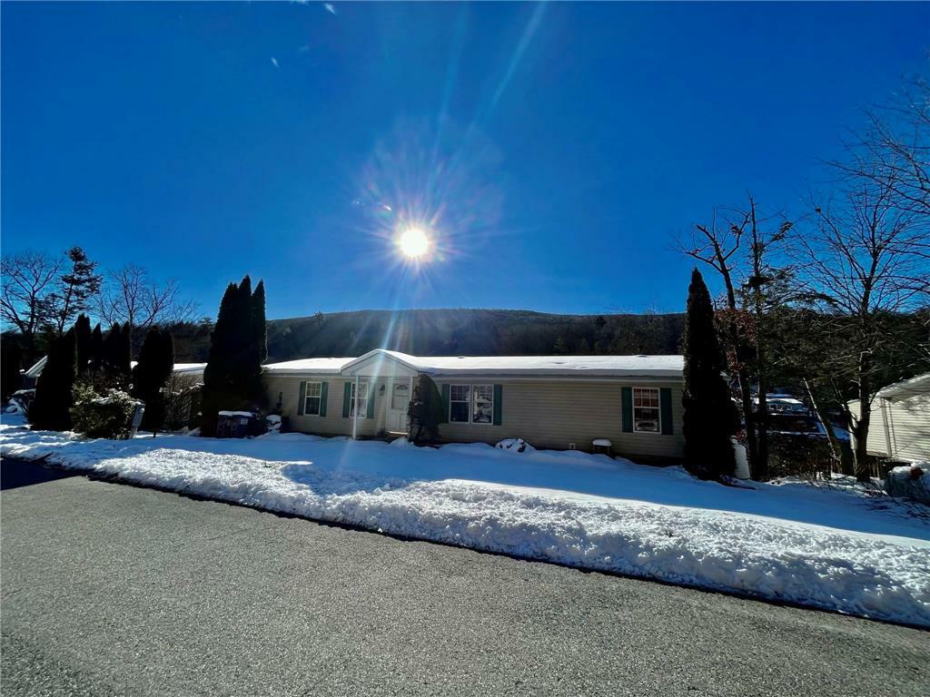 Property Photo:  1308 Blue Mountain Circle  PA 18353 