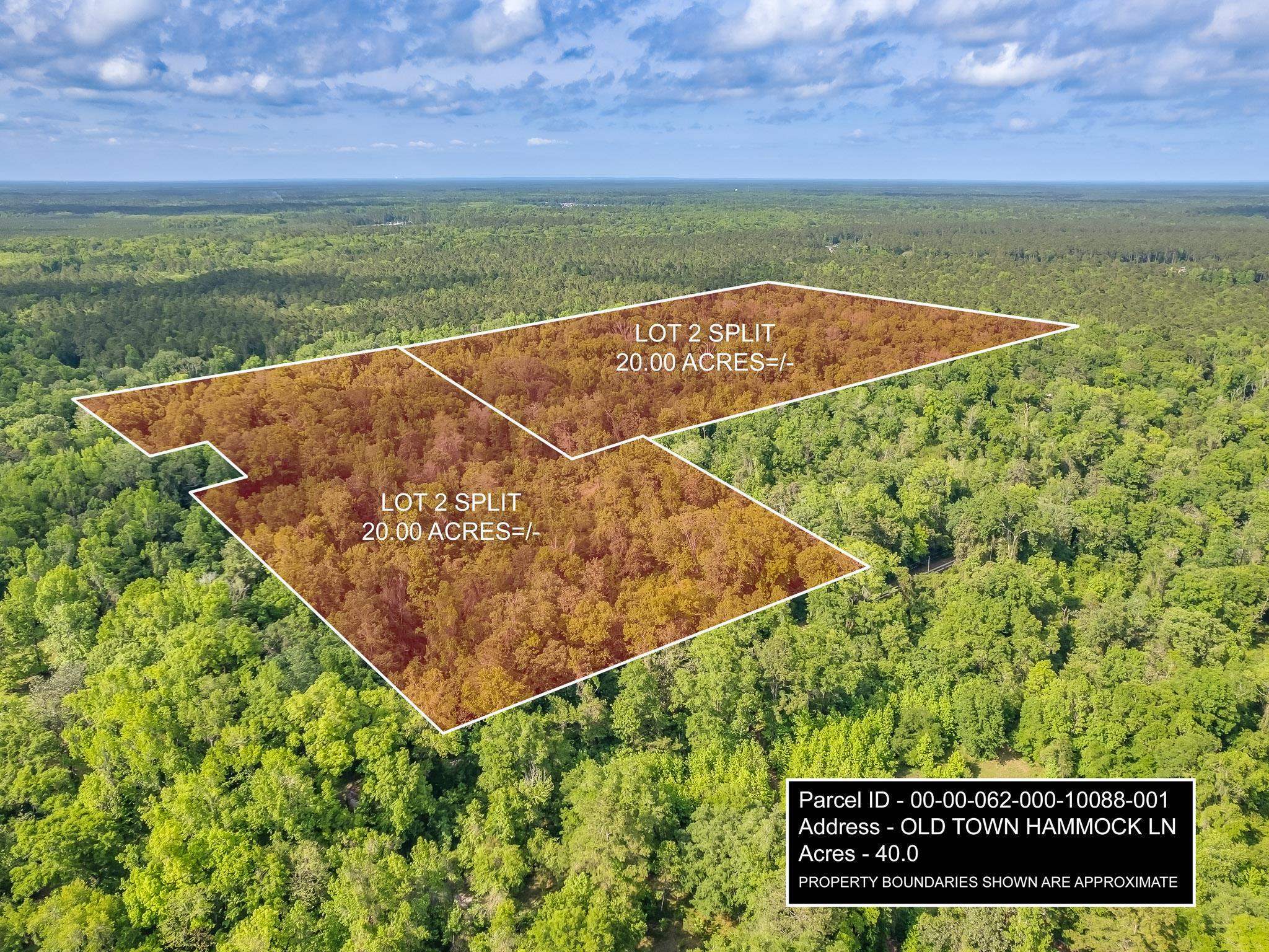 Property Photo:  20 Ac Old Town Hammock Lane  FL 32327 