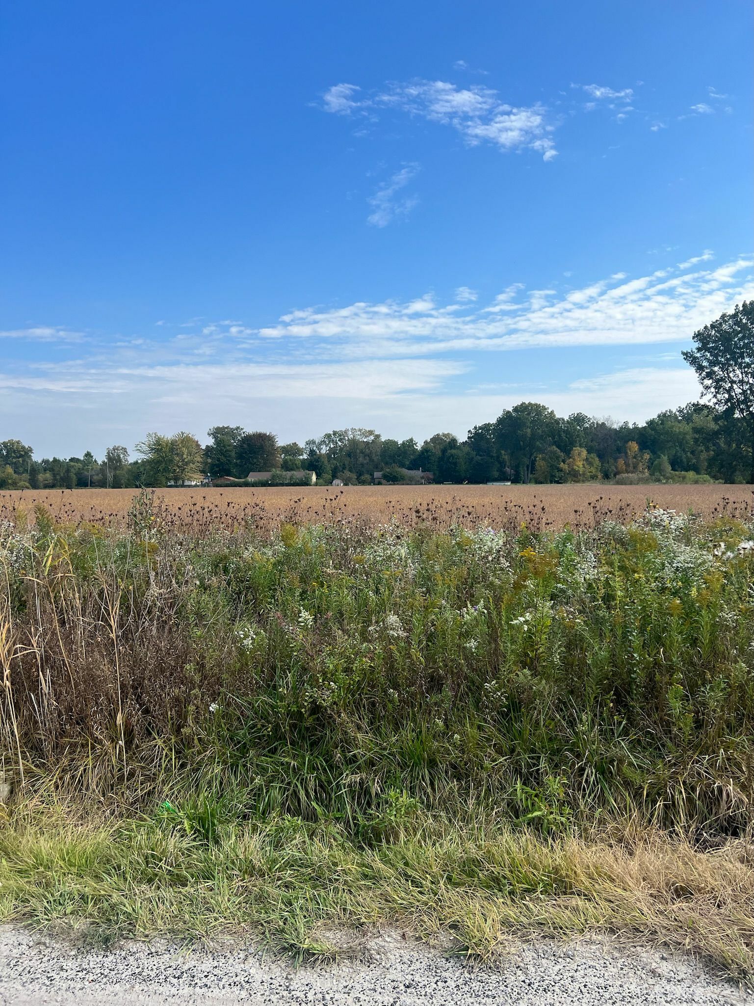 Property Photo:  Parcel #3 E Schoenherr Road  MI 48904 