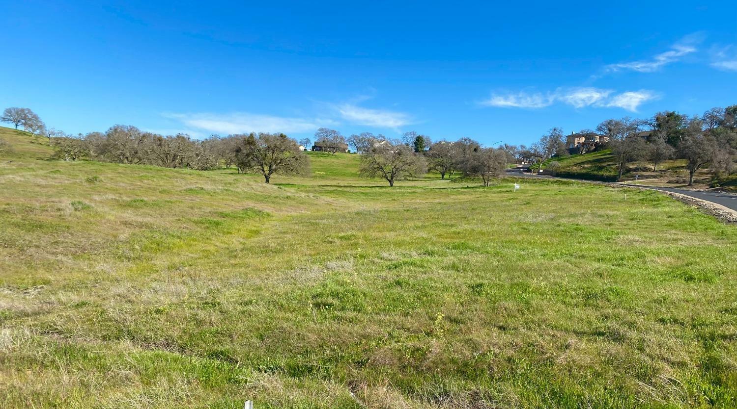 Property Photo:  107 Wallace Lake Drive  CA 95254 