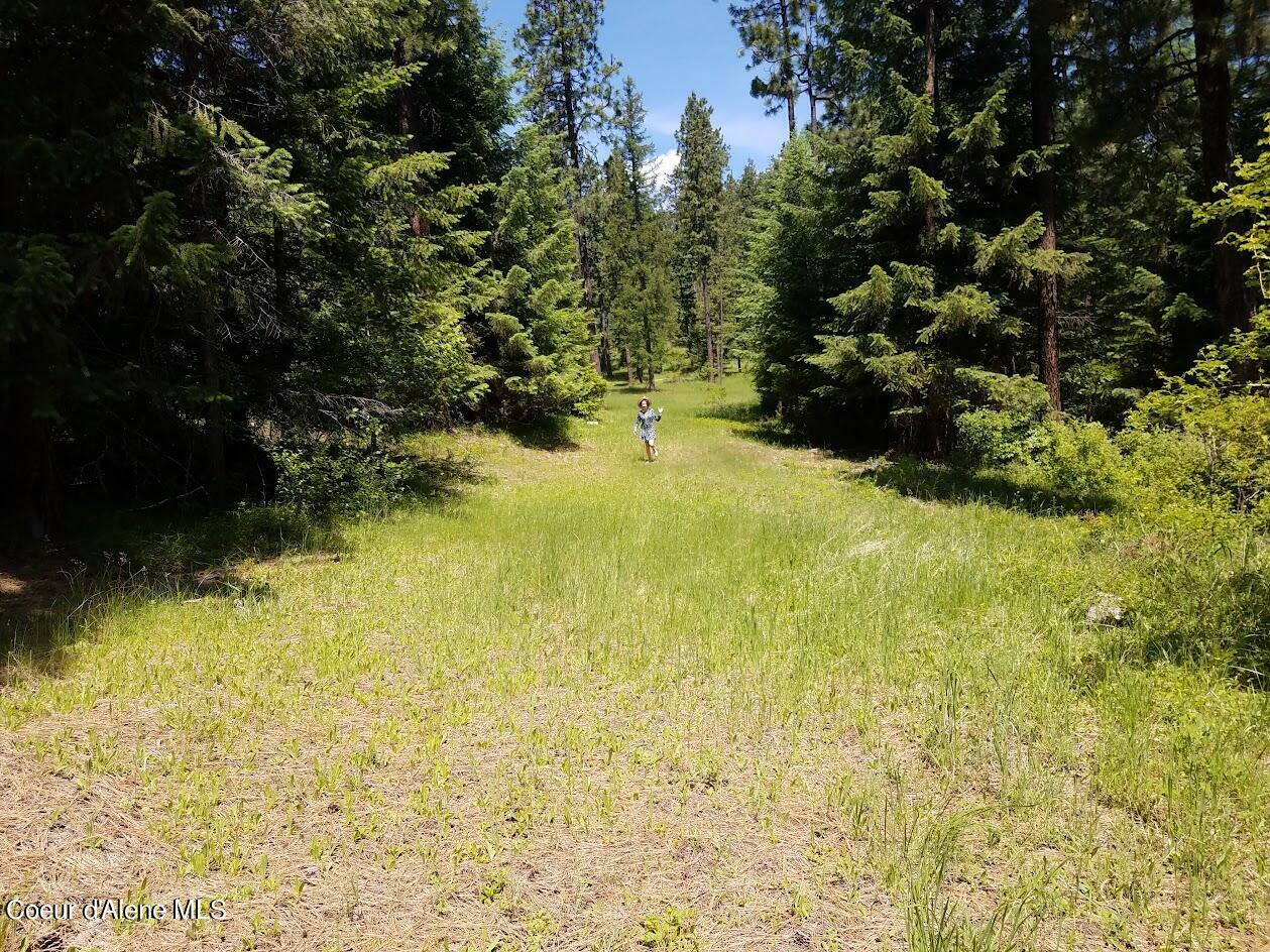 Property Photo:  E Ravin Ridge Rd  ID 83814 