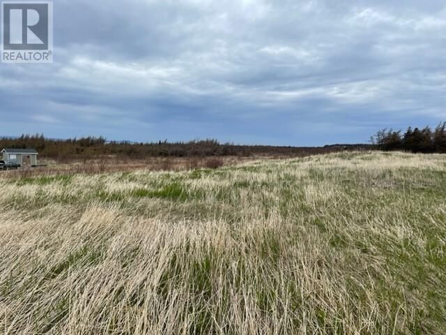 Property Photo:  104-106 Main Road  NL A0N 1T0 