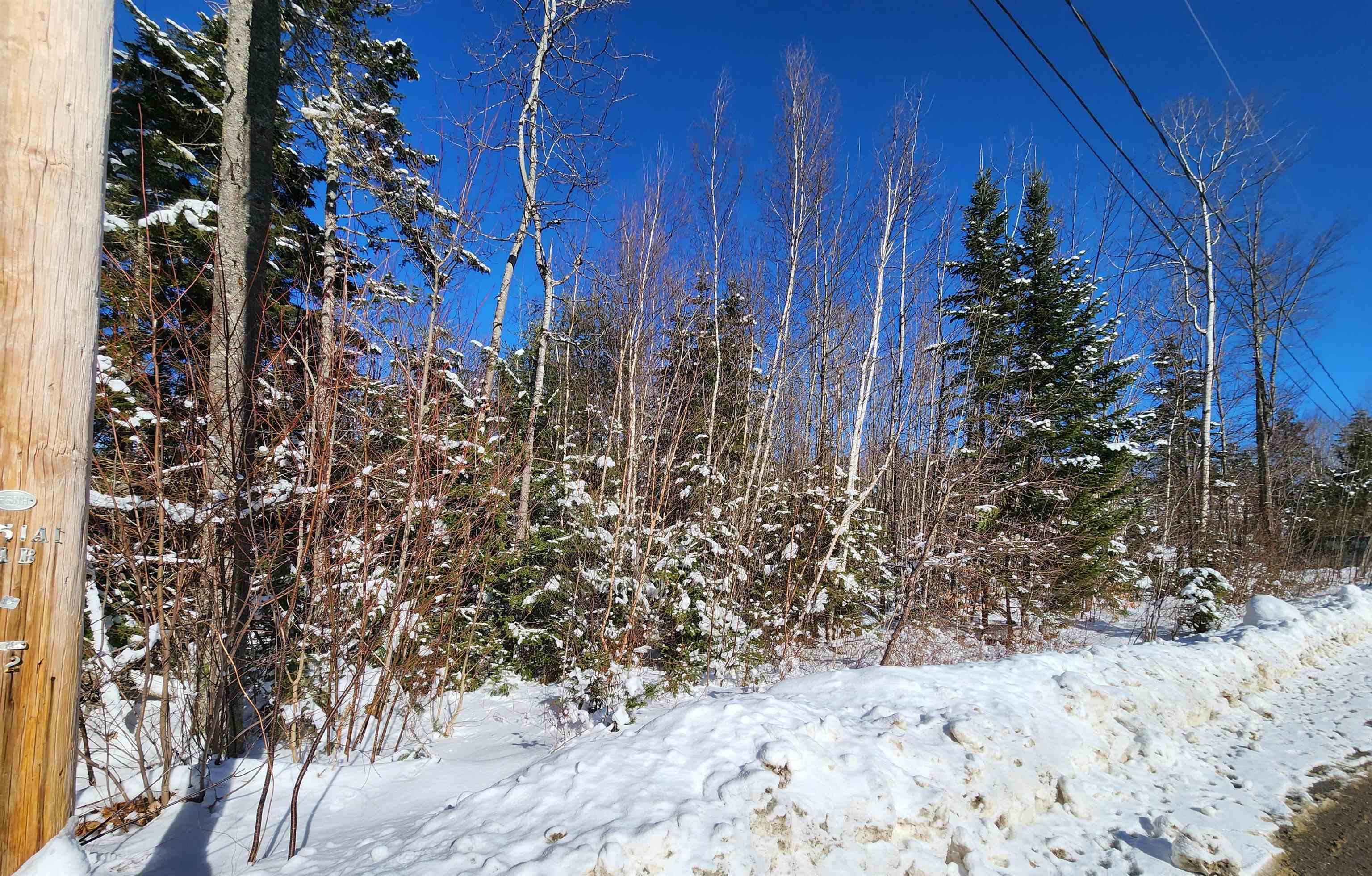 Property Photo:  Lot 201 James Street  NH 03574 