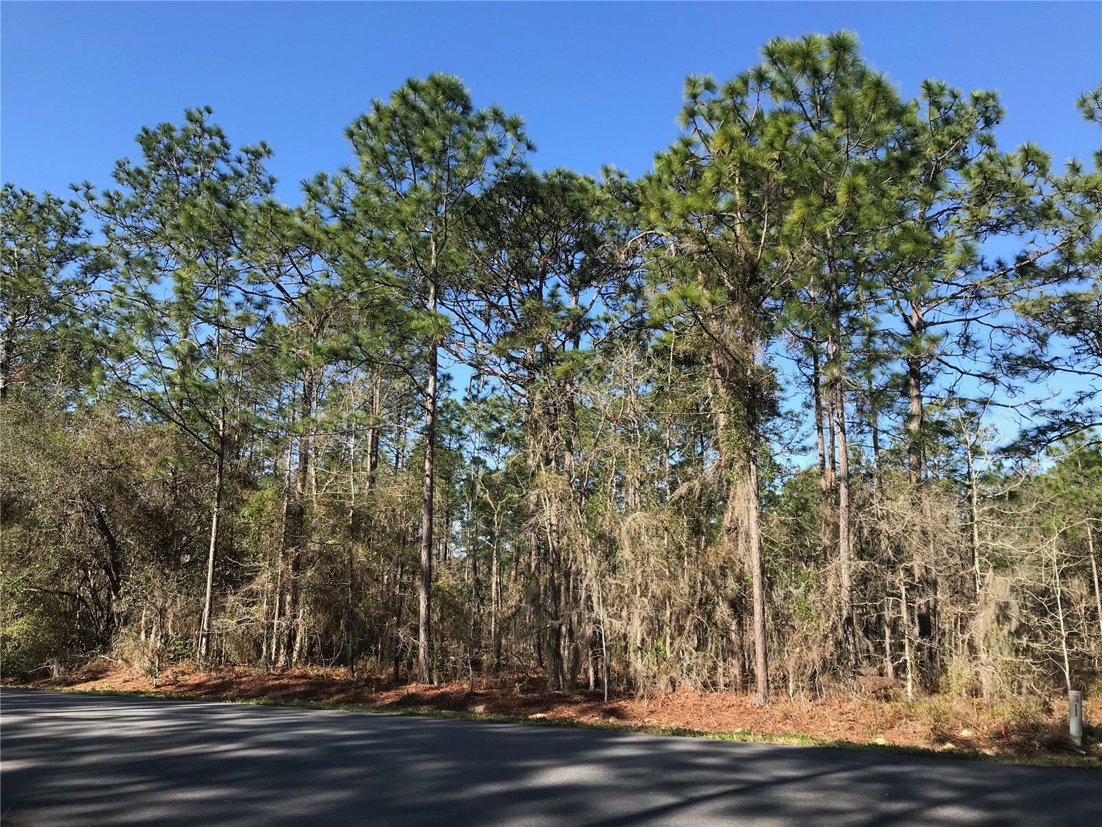 Property Photo:  1554 Cr 243B  Lot #95  FL 34785 