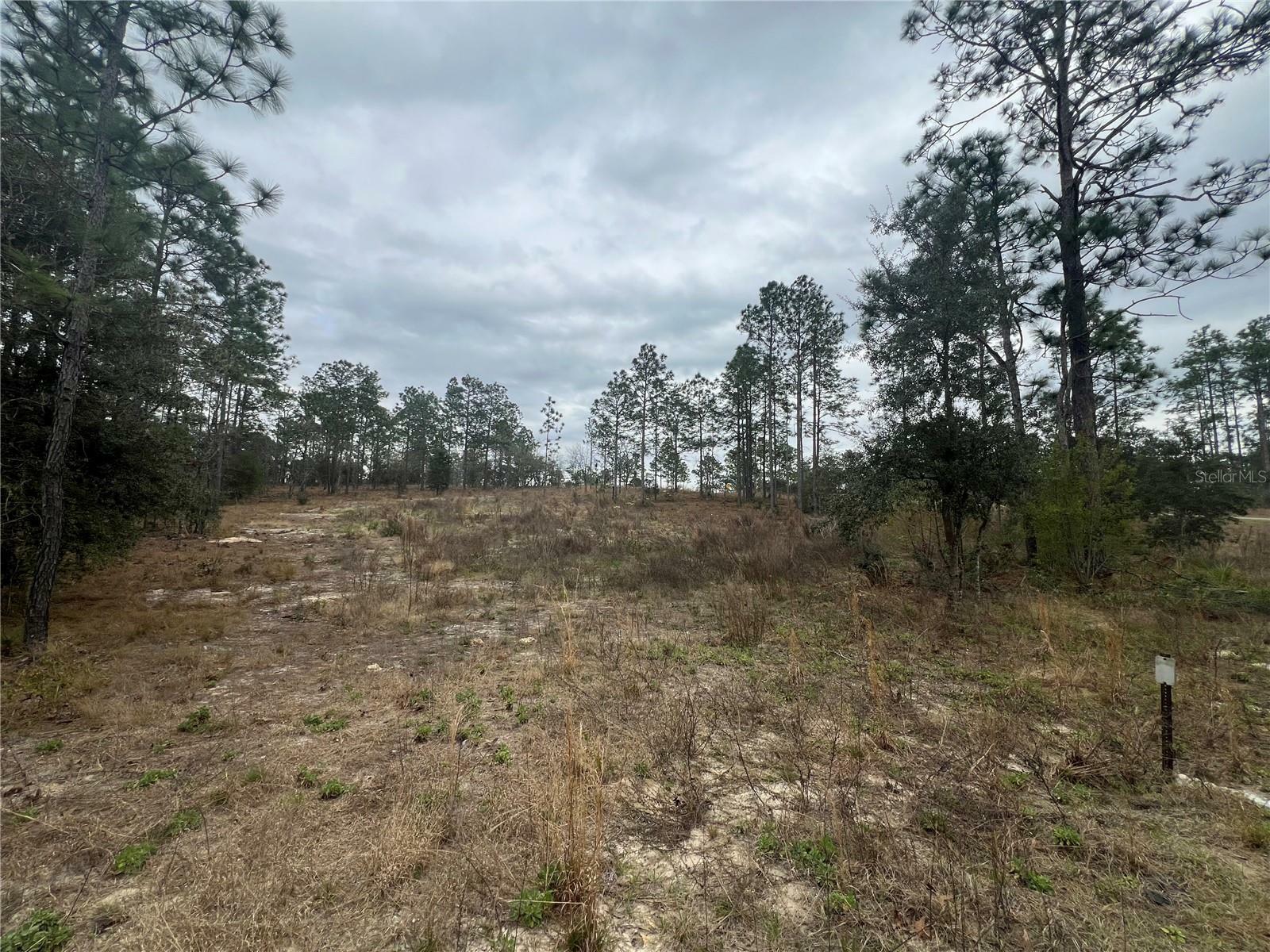 Property Photo:  Tbd SE 139th Court  FL 34431 