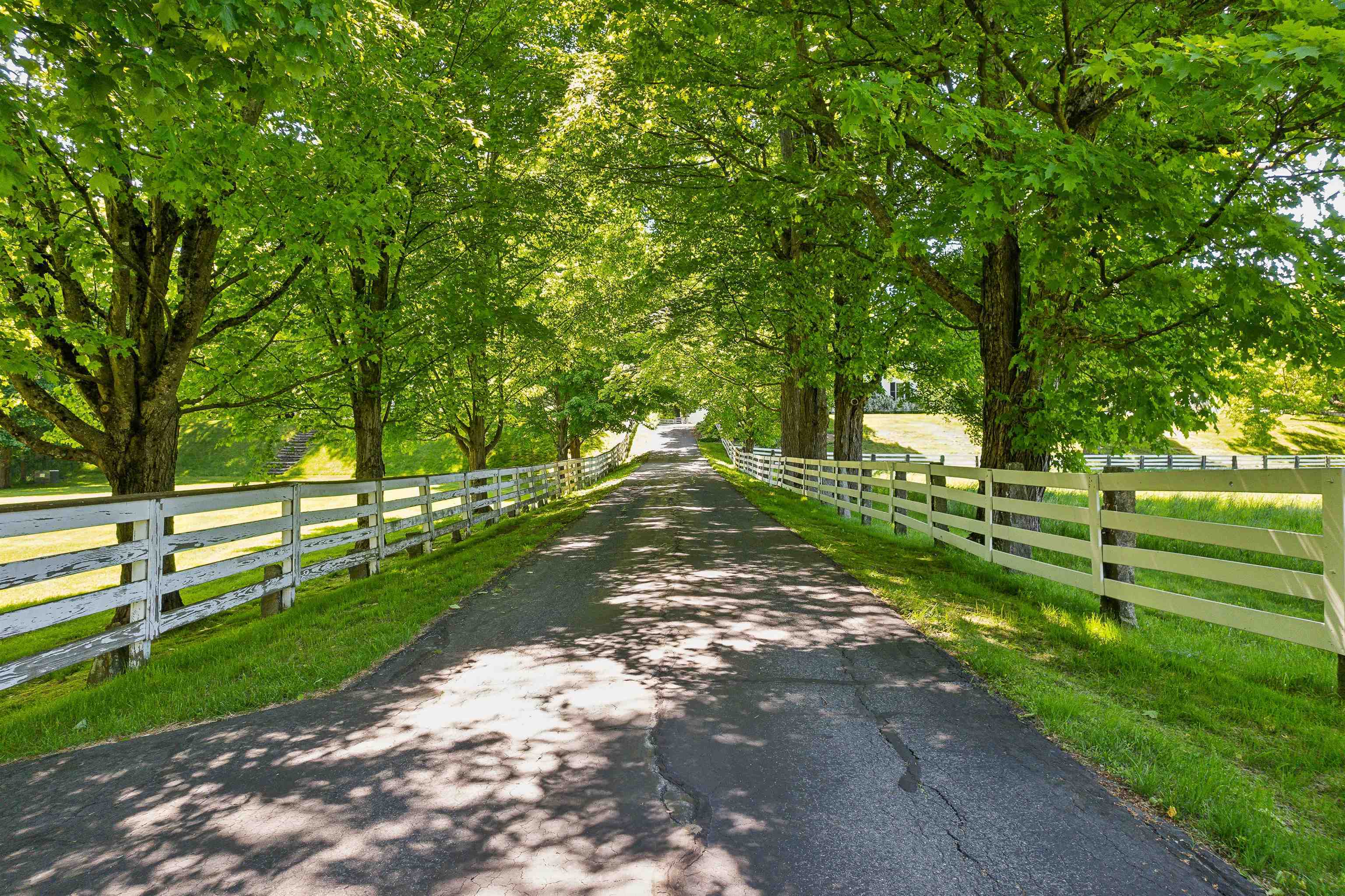 Property Photo:  17 Wheeler House Drive  NH 03777 