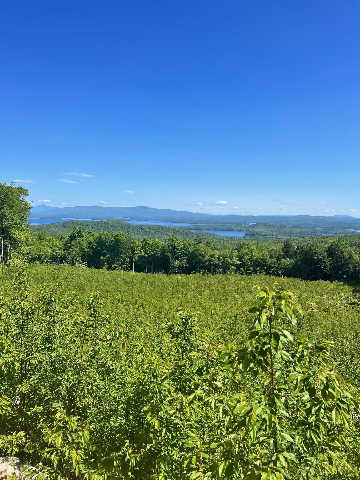 Property Photo: 191 Glidden Road NH 03249