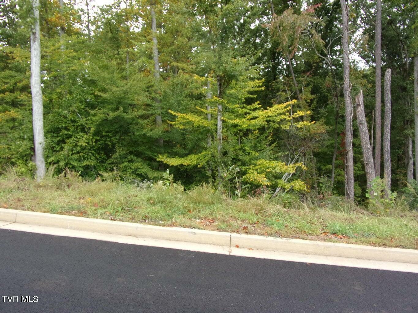 Property Photo:  Lot 25 Bridgewater Blvd  TN 37814 