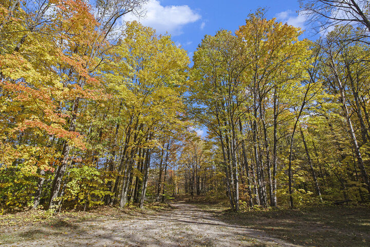 Property Photo: 10149 Tittabawassee Trail MI 49735