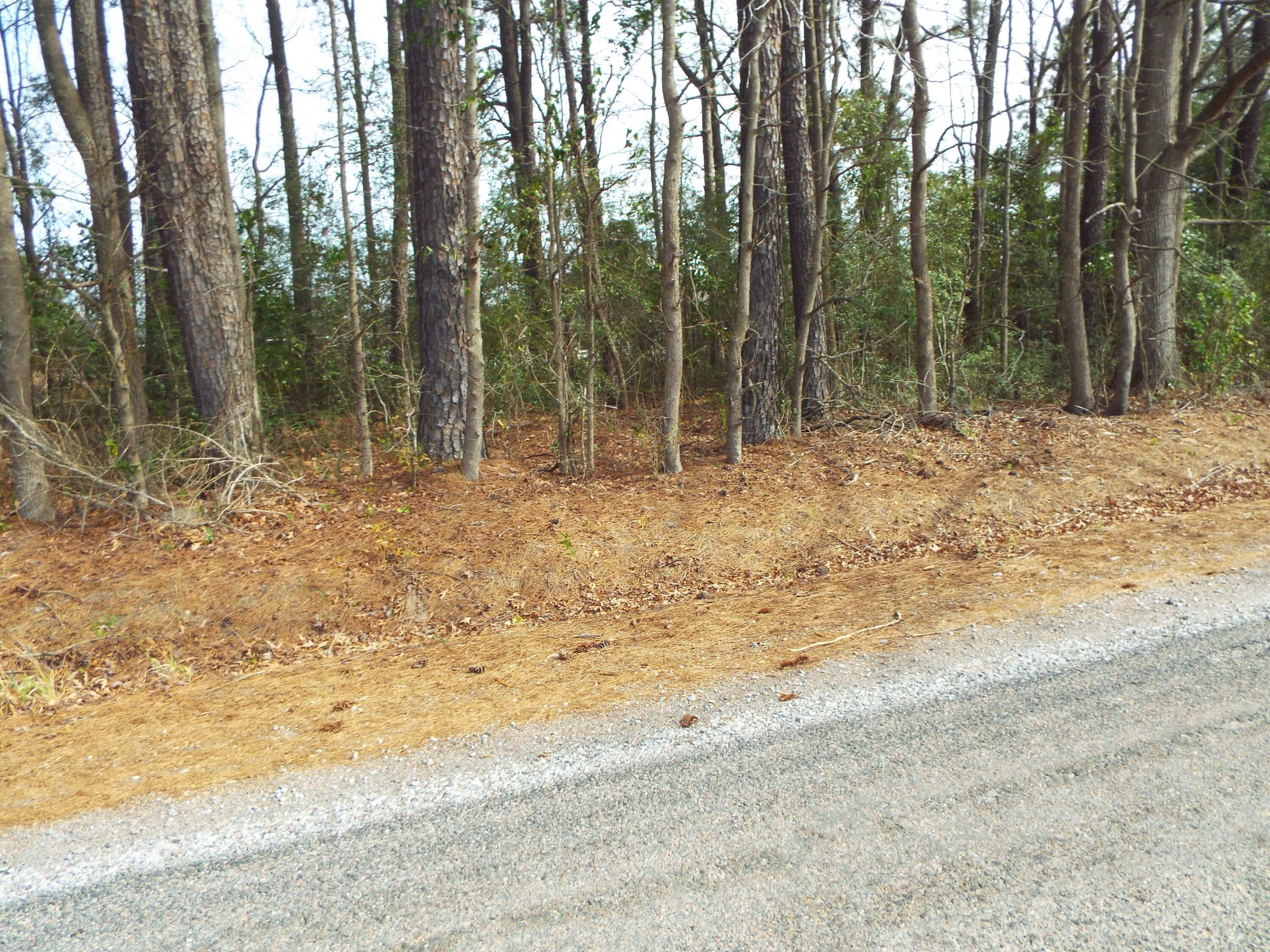 Property Photo:  0 Dennis Drive Lot 25  SC 29445 