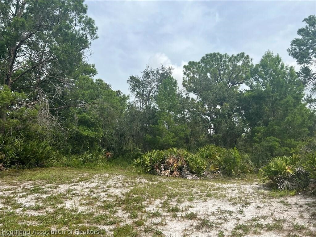 Property Photo:  3259 Forrest View Avenue  FL 33852 