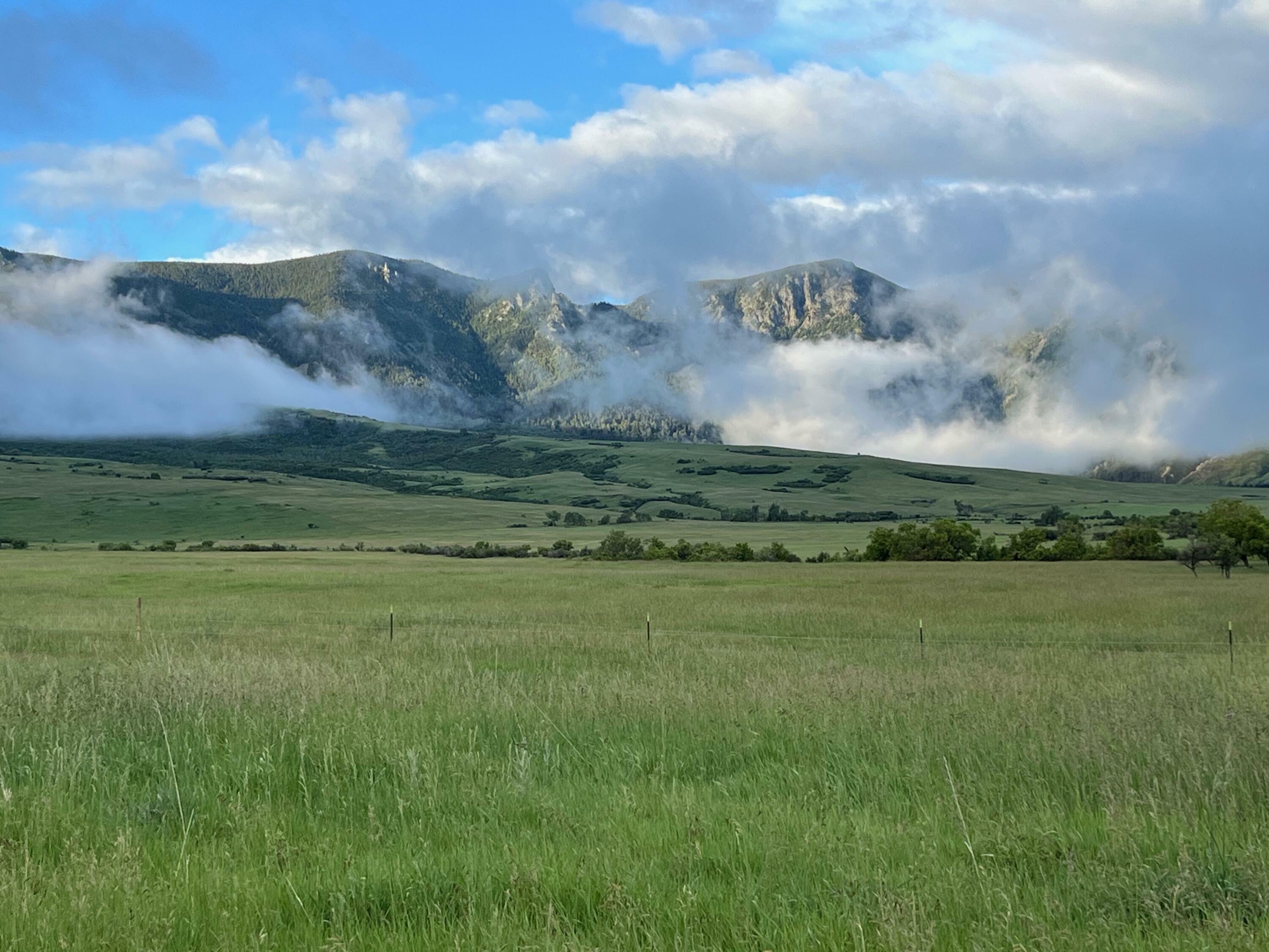 Property Photo:  40.6 Acres Canyon Ranch Road  WY 82833 