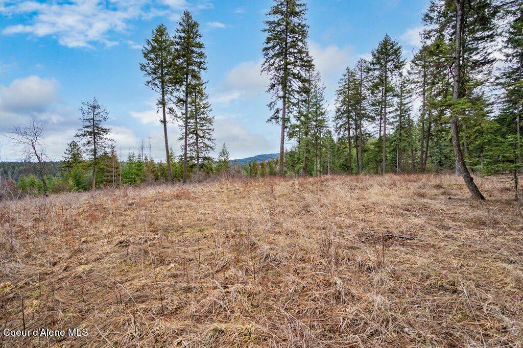 Property Photo:  Lot 4 Riddle Rd  ID 83833 