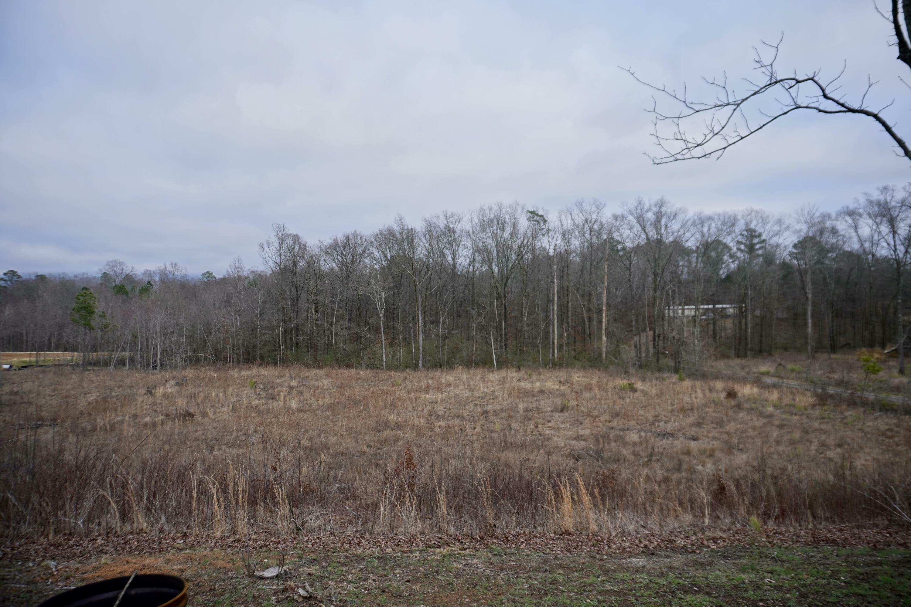 Property Photo:  0 Wilson Rd  GA 30705 