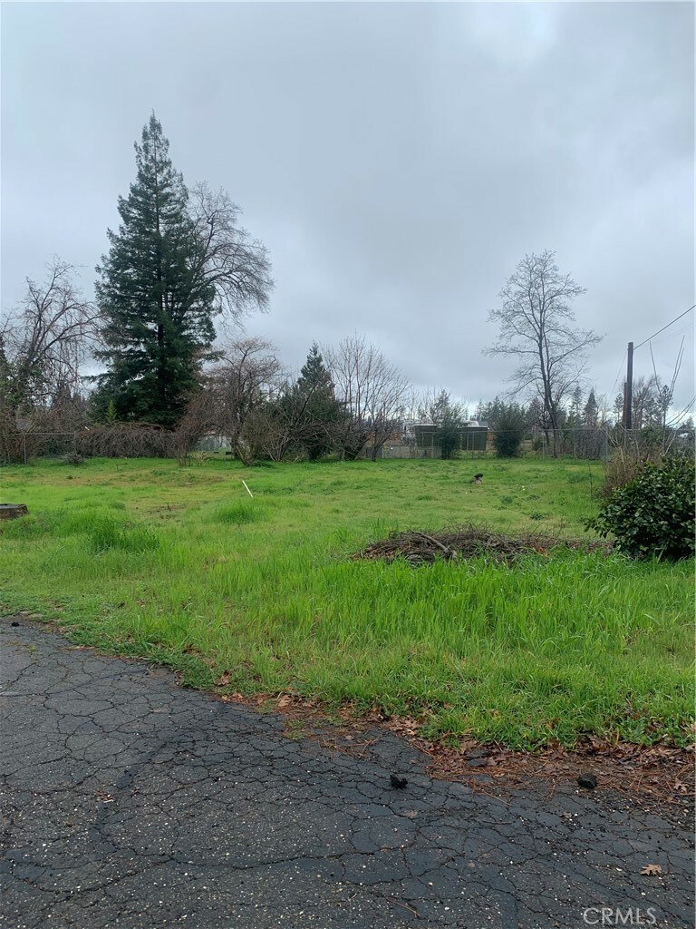 Property Photo:  1354 Nunneley Road  CA 95969 