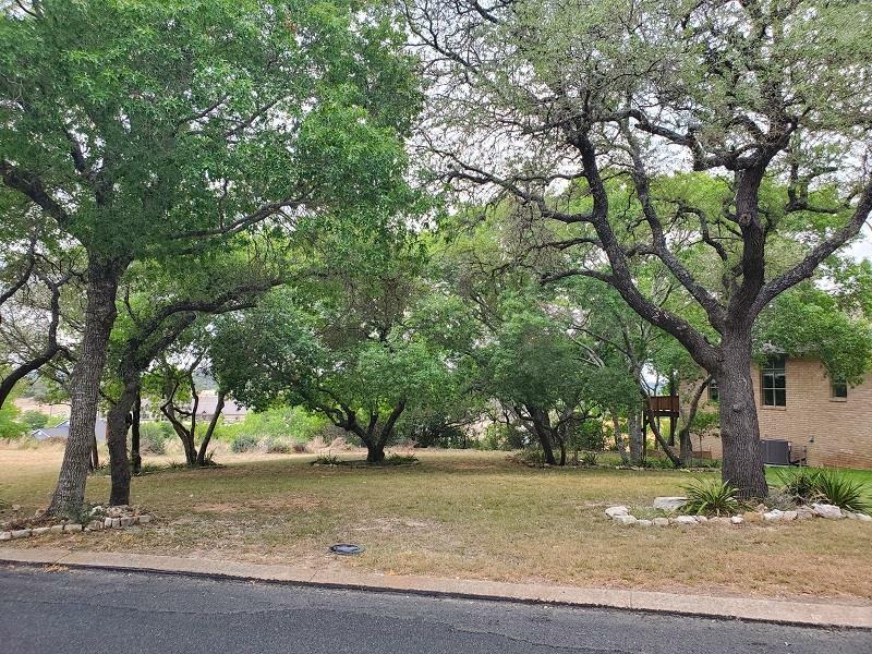 Property Photo:  433 Summit Circle  TX 78624 