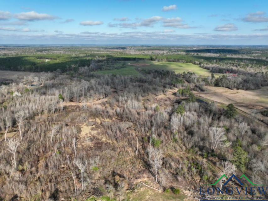 Property Photo: Tbd Cr 1759 TX 75563