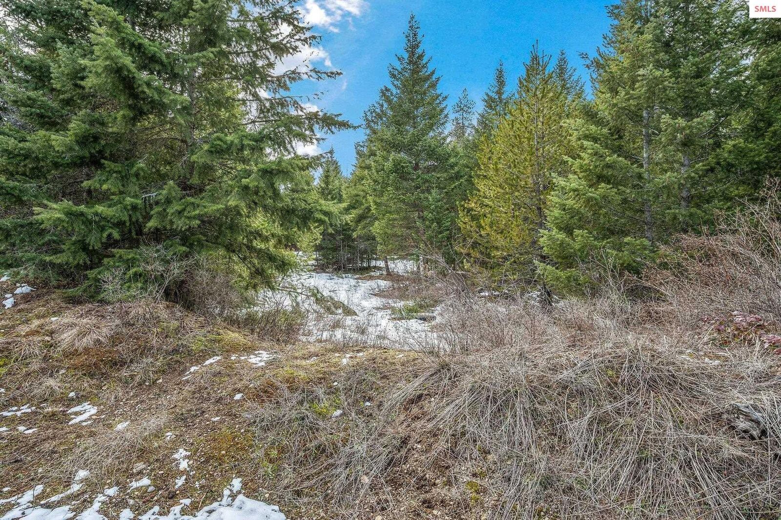 Property Photo:  32944 N 10th Ave  ID 83869 