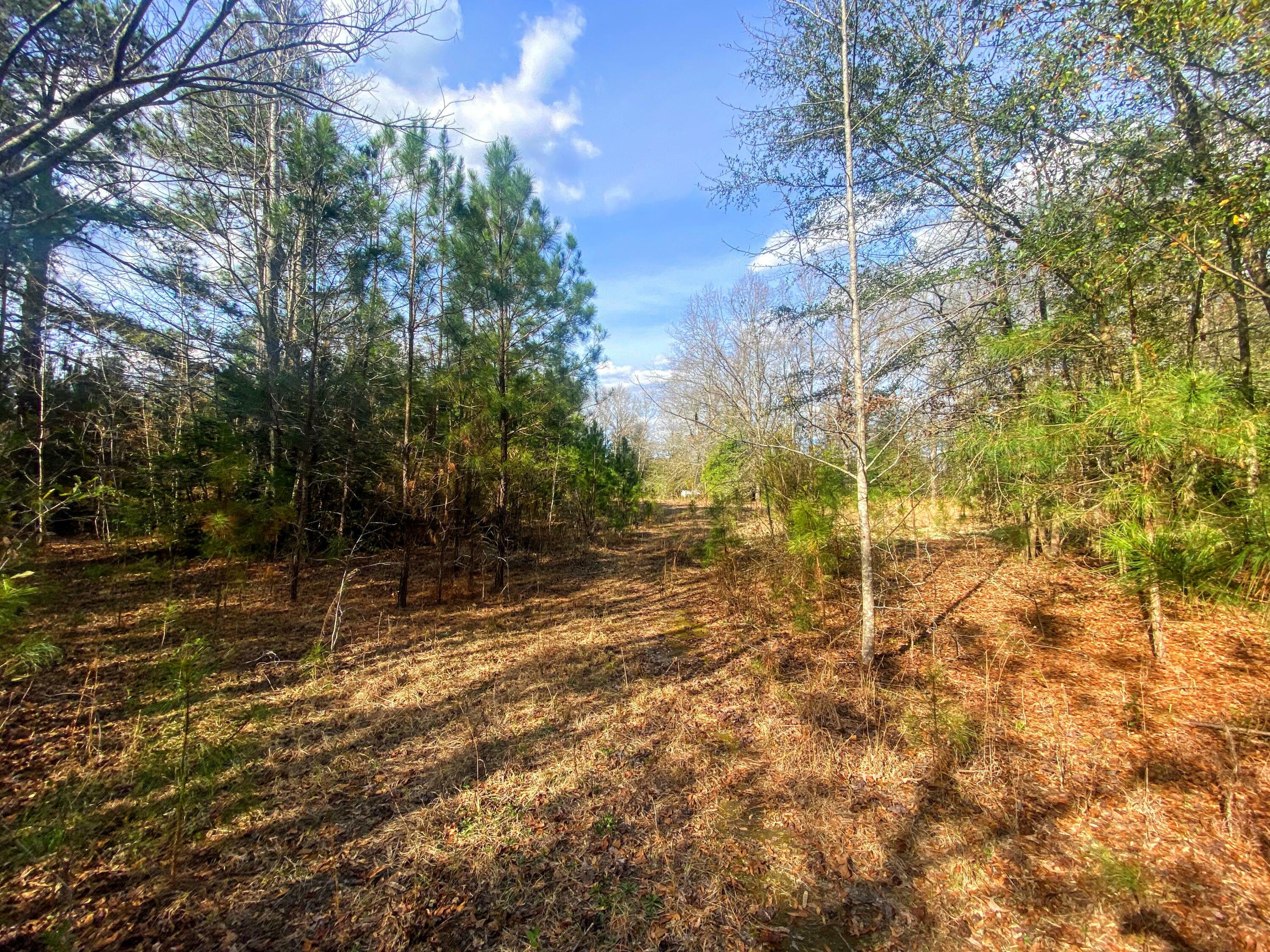 Property Photo:  10.29 Farmers Bridge Rd  GA 30815 