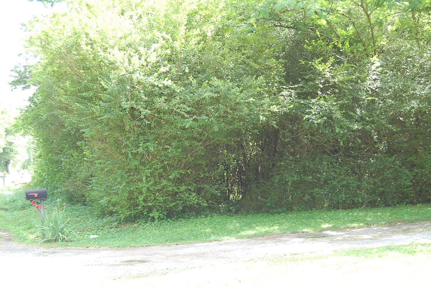 Property Photo:  4 Old State Highway 28 Rd  TN 37327 