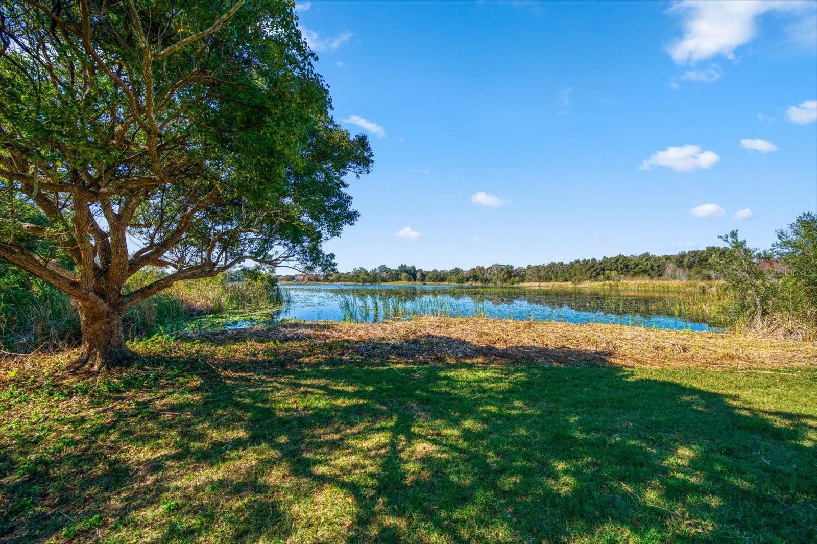 Property Photo: 2850 Sunstream Lane FL 33759