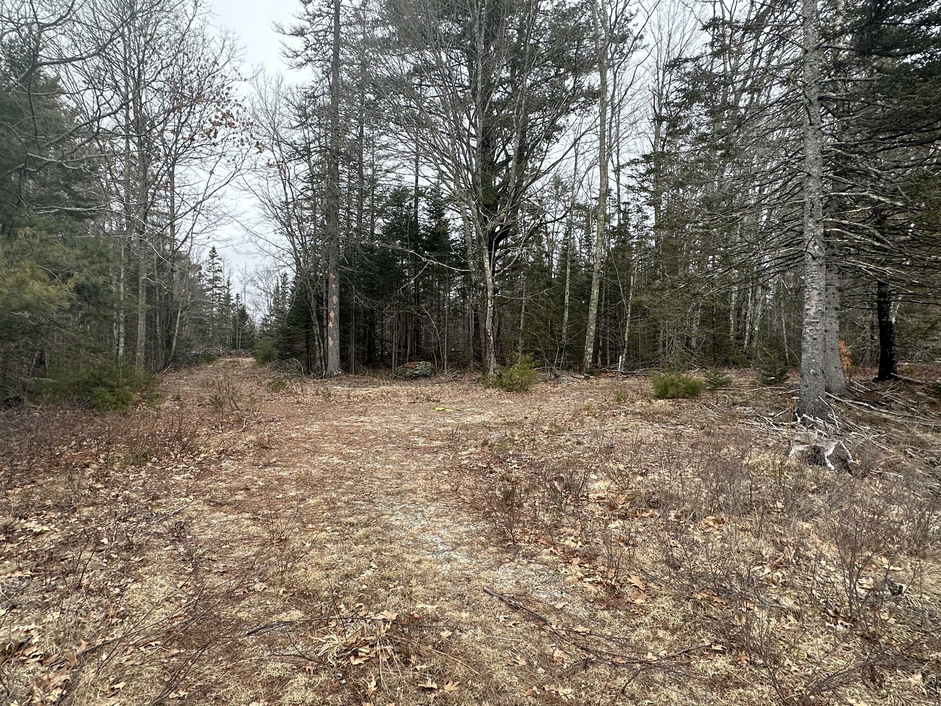 Property Photo:  221 Bucksport Road  ME 04605 