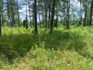 Lot #4 Hart Road  Hammond LA 70401 photo