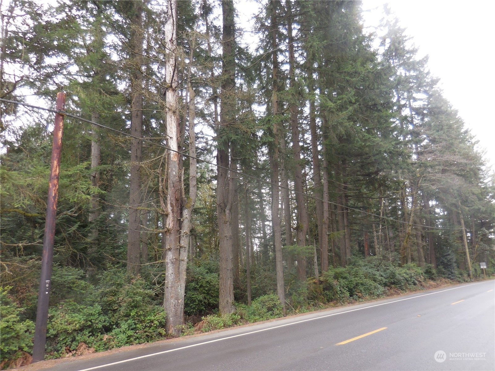 Property Photo:  0 Banner Road SE  WA 98367 