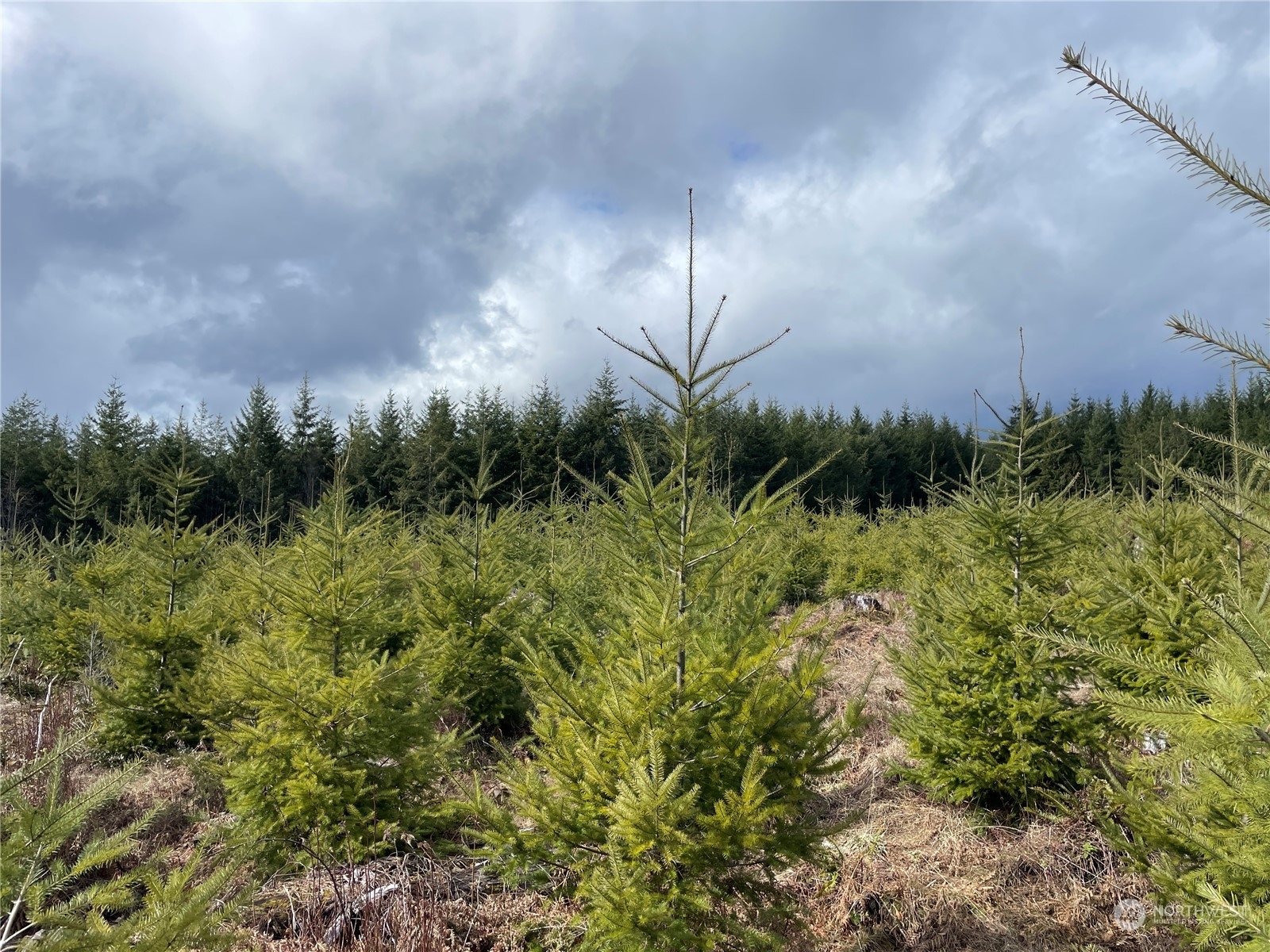 Property Photo: 0 Na Hooper Road WA 98632
