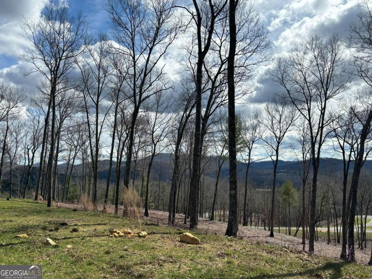 Property Photo: Lot 173 Southern Cross Court GA 30560