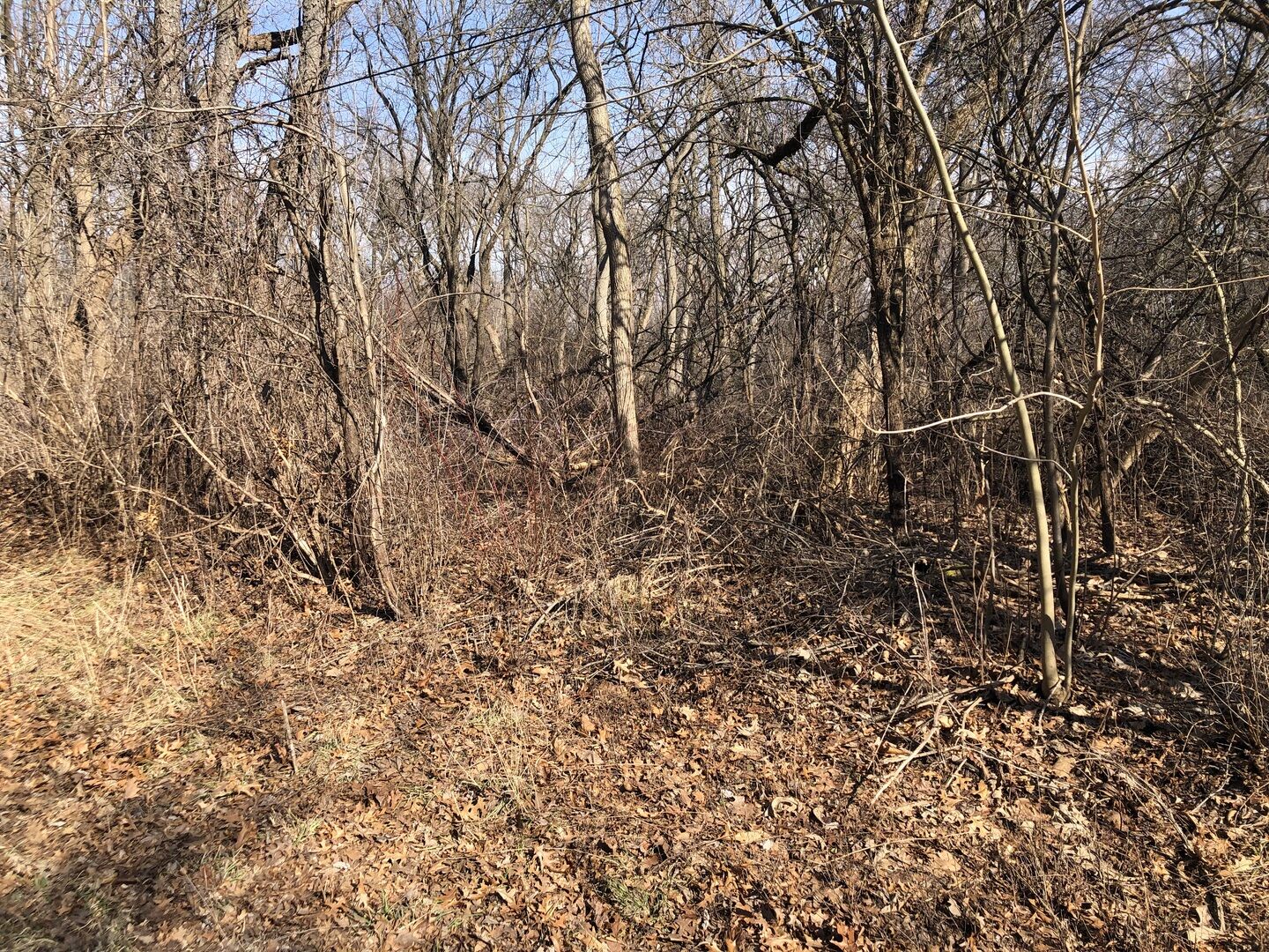 Property Photo:  40271 N Mill Creek Road  IL 60083 
