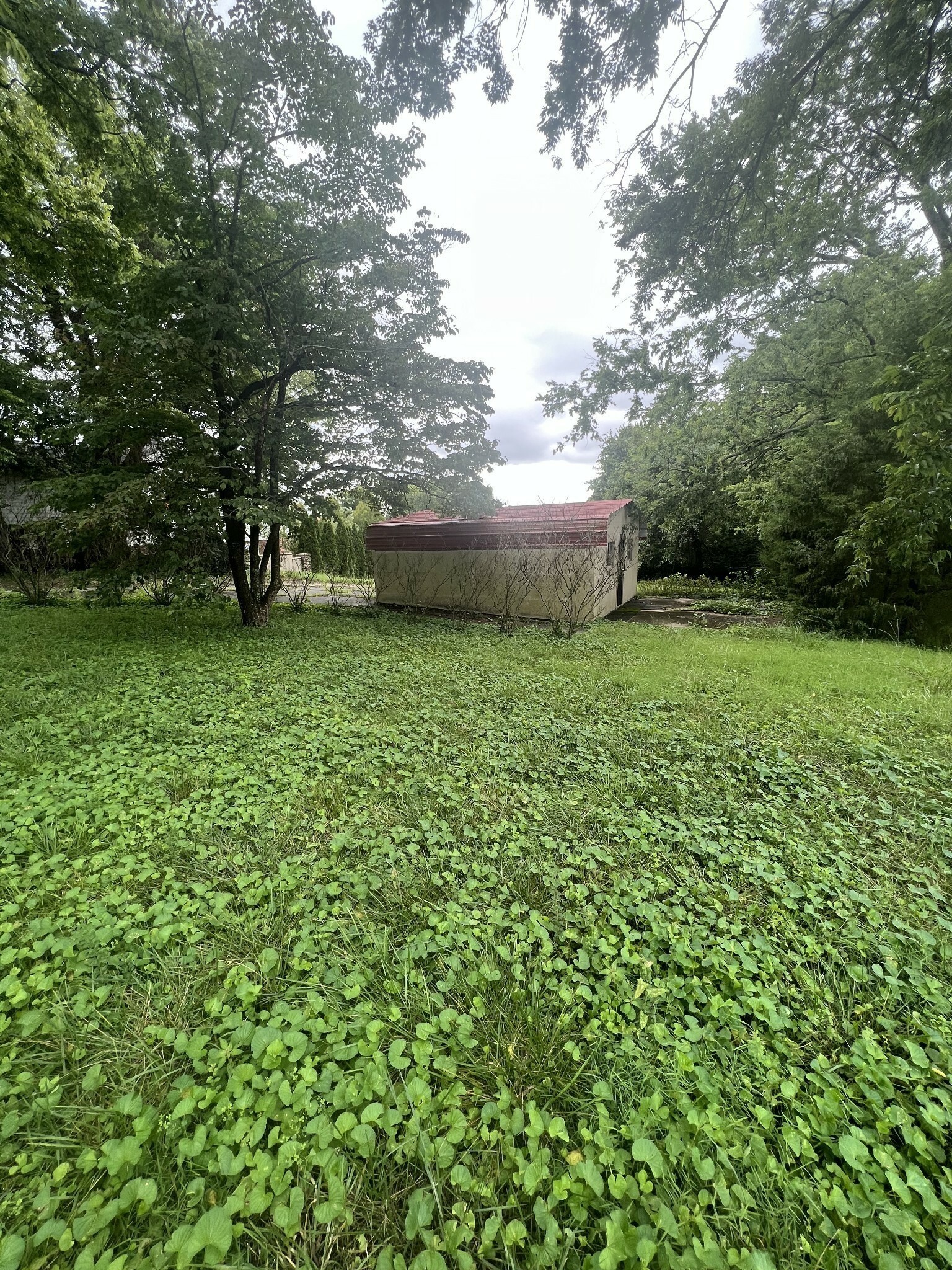 Property Photo:  811 W 6th St  TN 38401 