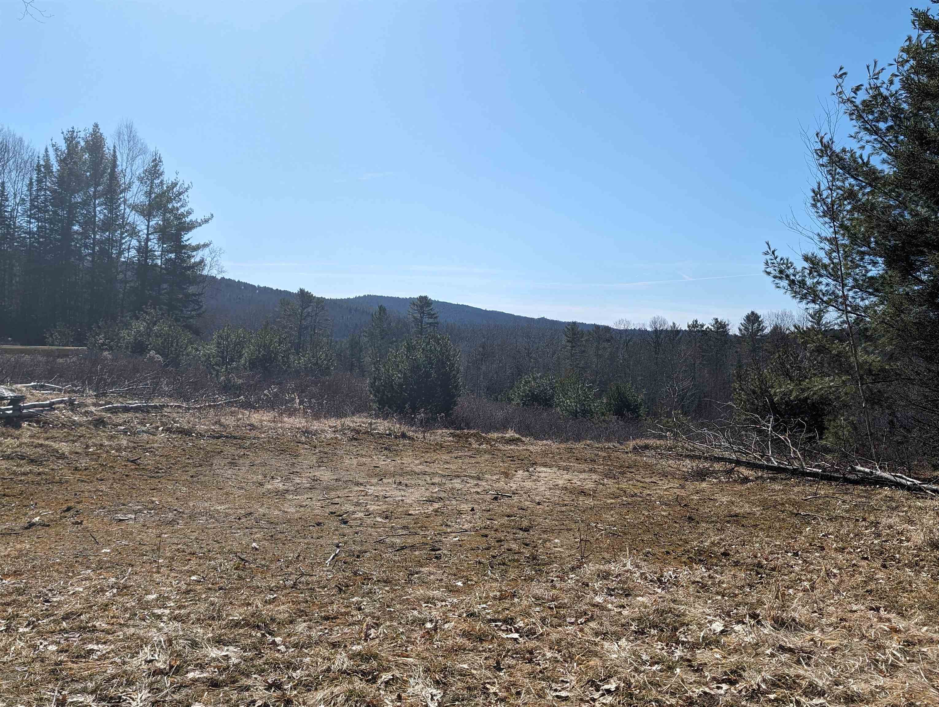 Property Photo:  147 Buck Ridge Road  NH 03585 