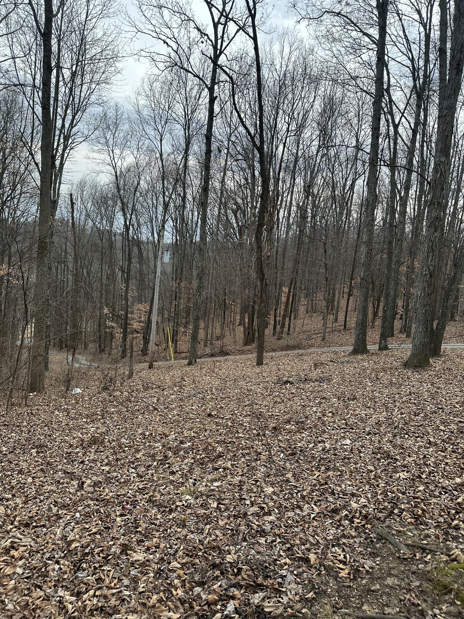 Property Photo: 138 High Cliff Dr TN 37075