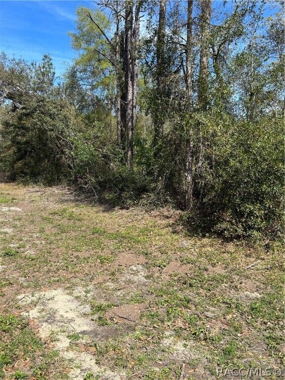 Property Photo:  2101 W Most Lane  FL 34434 