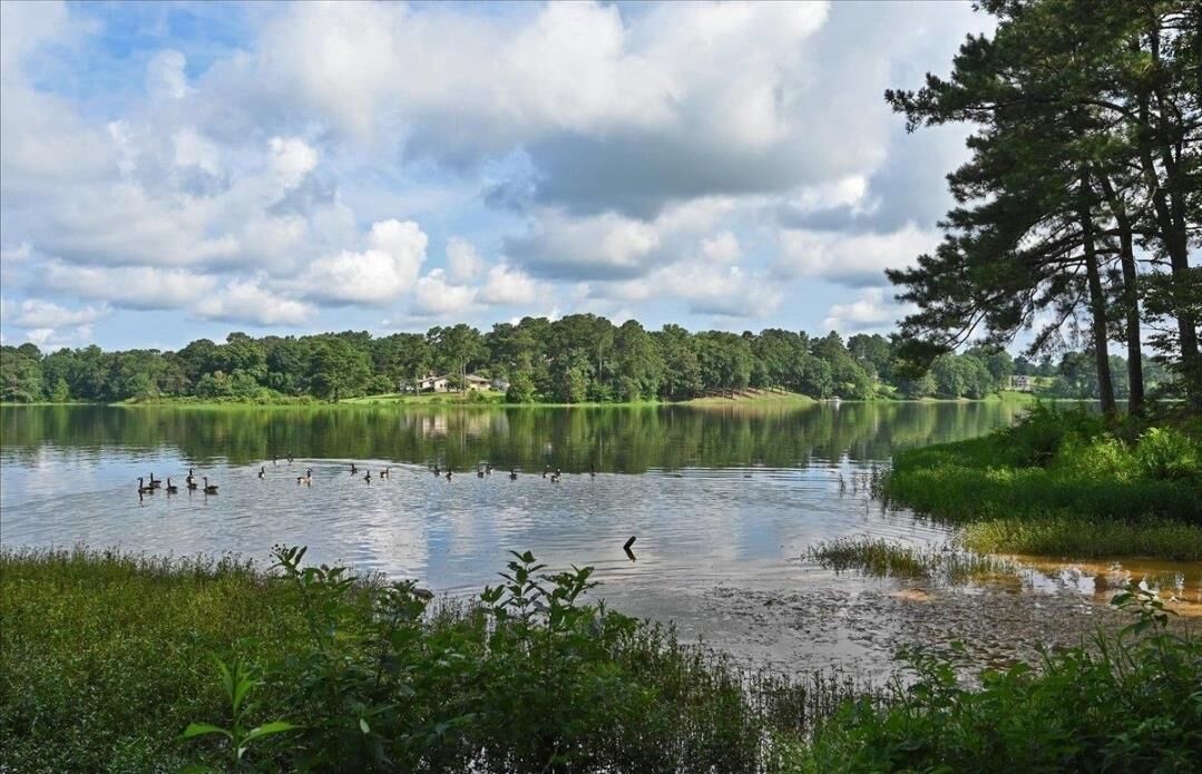 Property Photo:  Lot 10 Champion Ln  AL 35058 - CULLMAN 