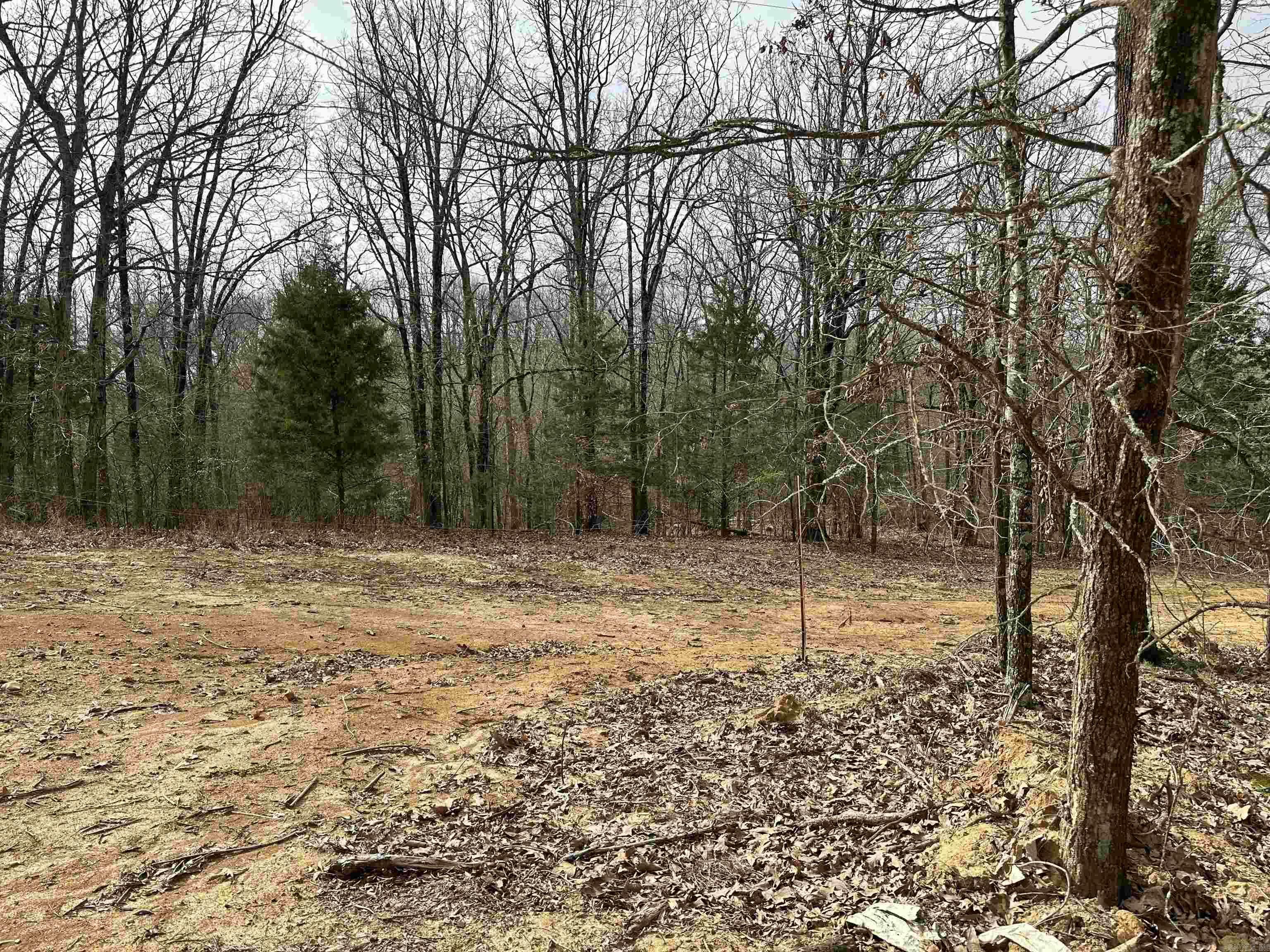 Property Photo:  Lot 3 Raby Road  AR 72432 