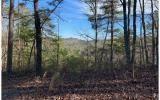 1026 Raccoon Ridge NE  Ranger GA 30734 photo