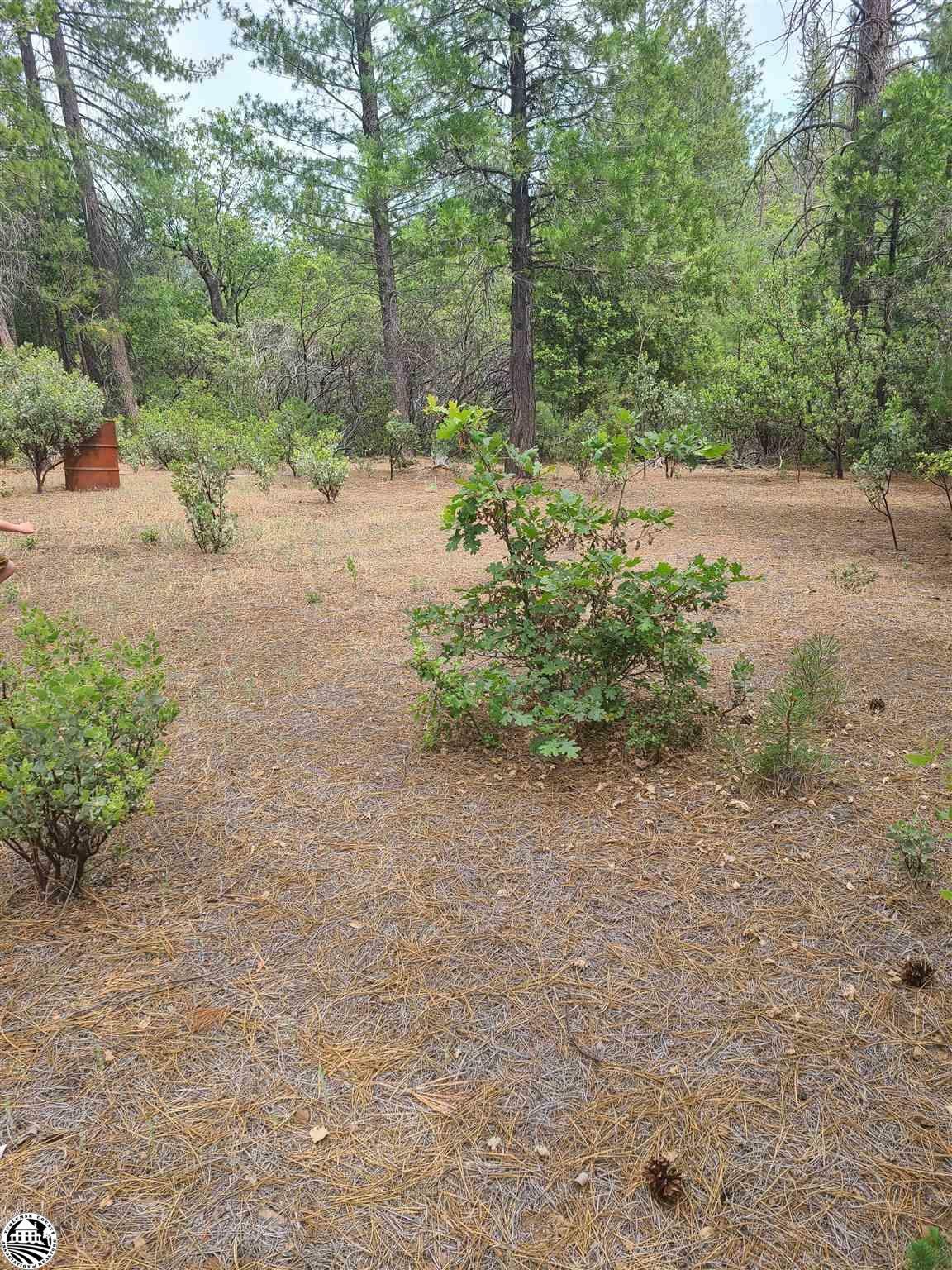 Property Photo:  22099 Hells Hollow Rd  CA 95321 