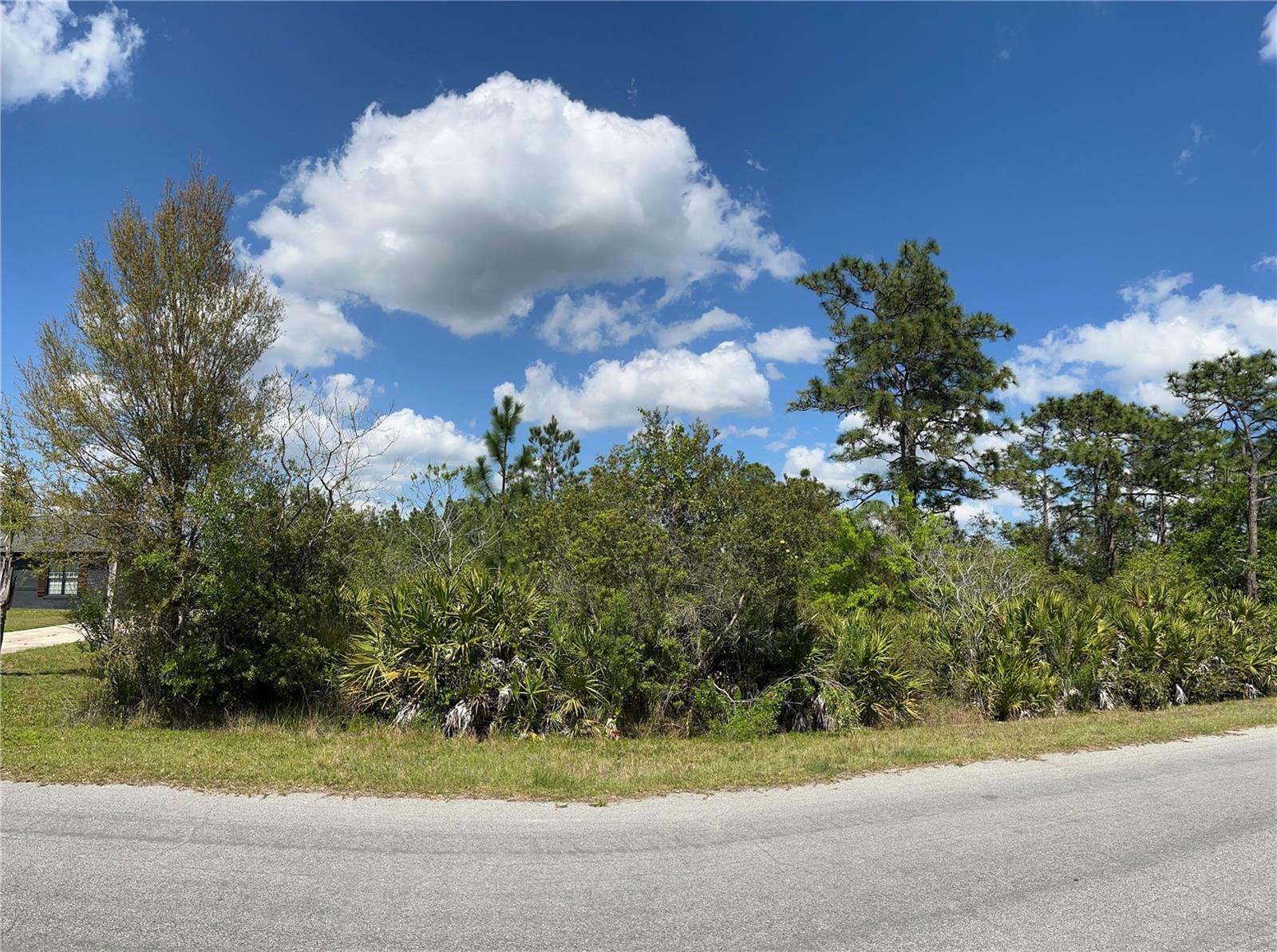 Property Photo:  0 Palmland Street  FL 32833 