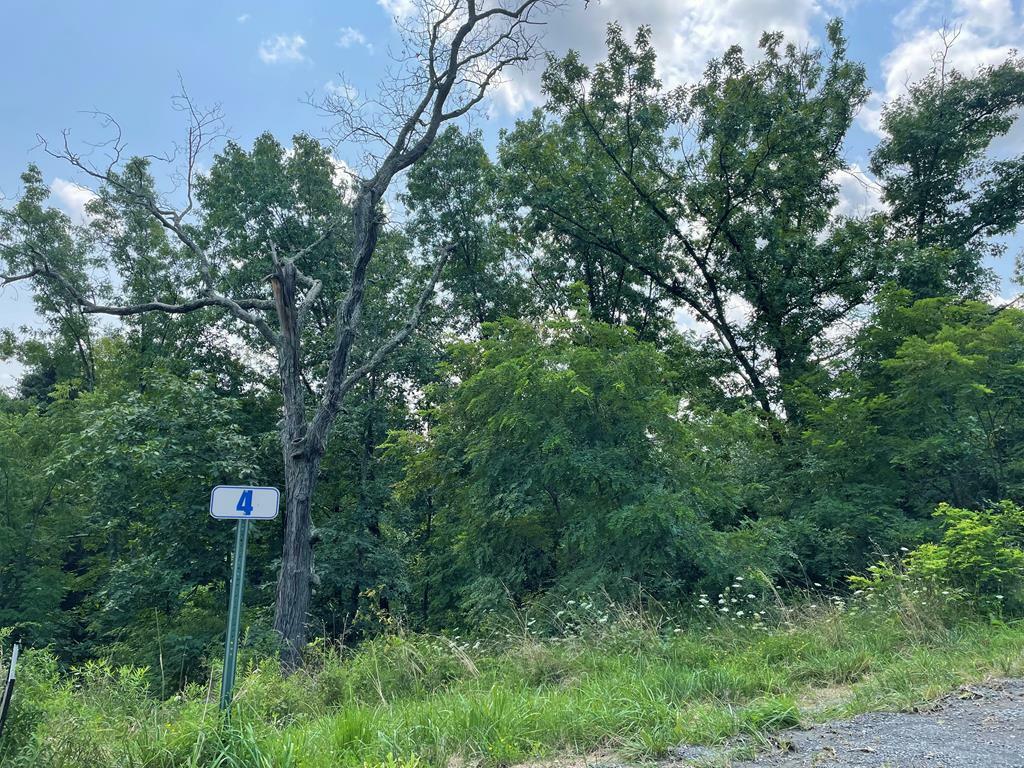 Property Photo:  Lot 4 Hemlock Hills Rd  PA 18848 