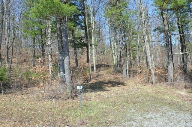 Property Photo:  Lot 19 Hemlock Hills Rd  PA 18848 